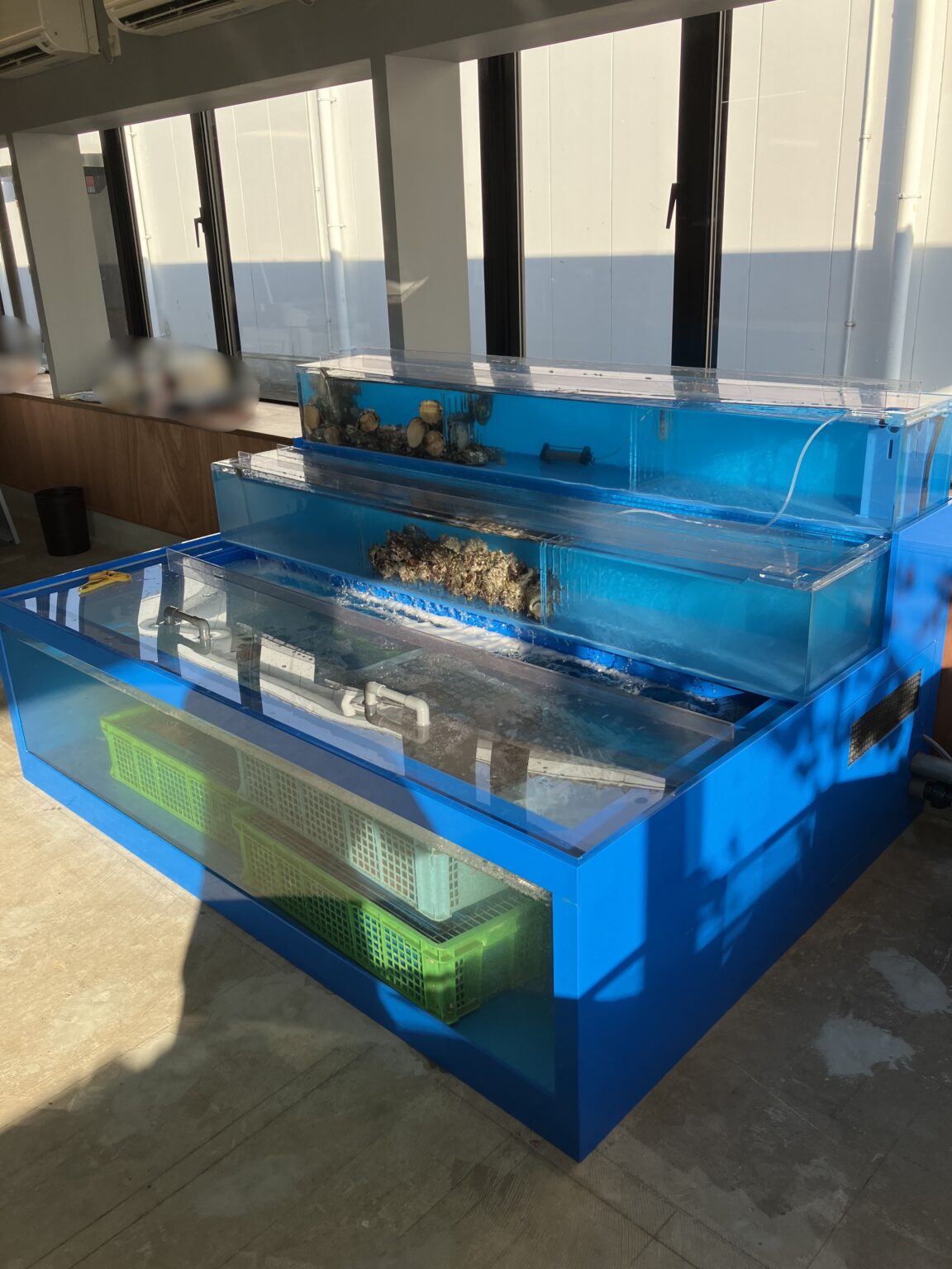 特注3段W2000 新規導入 活魚水槽 | ZENSUIブログ